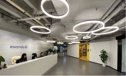長寧三家企業(yè)榮登上海軟件外包服務立項名單，助力區(qū)域數字經濟發(fā)展