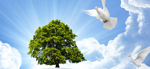 品牌設計公司在社會上有什么用途？