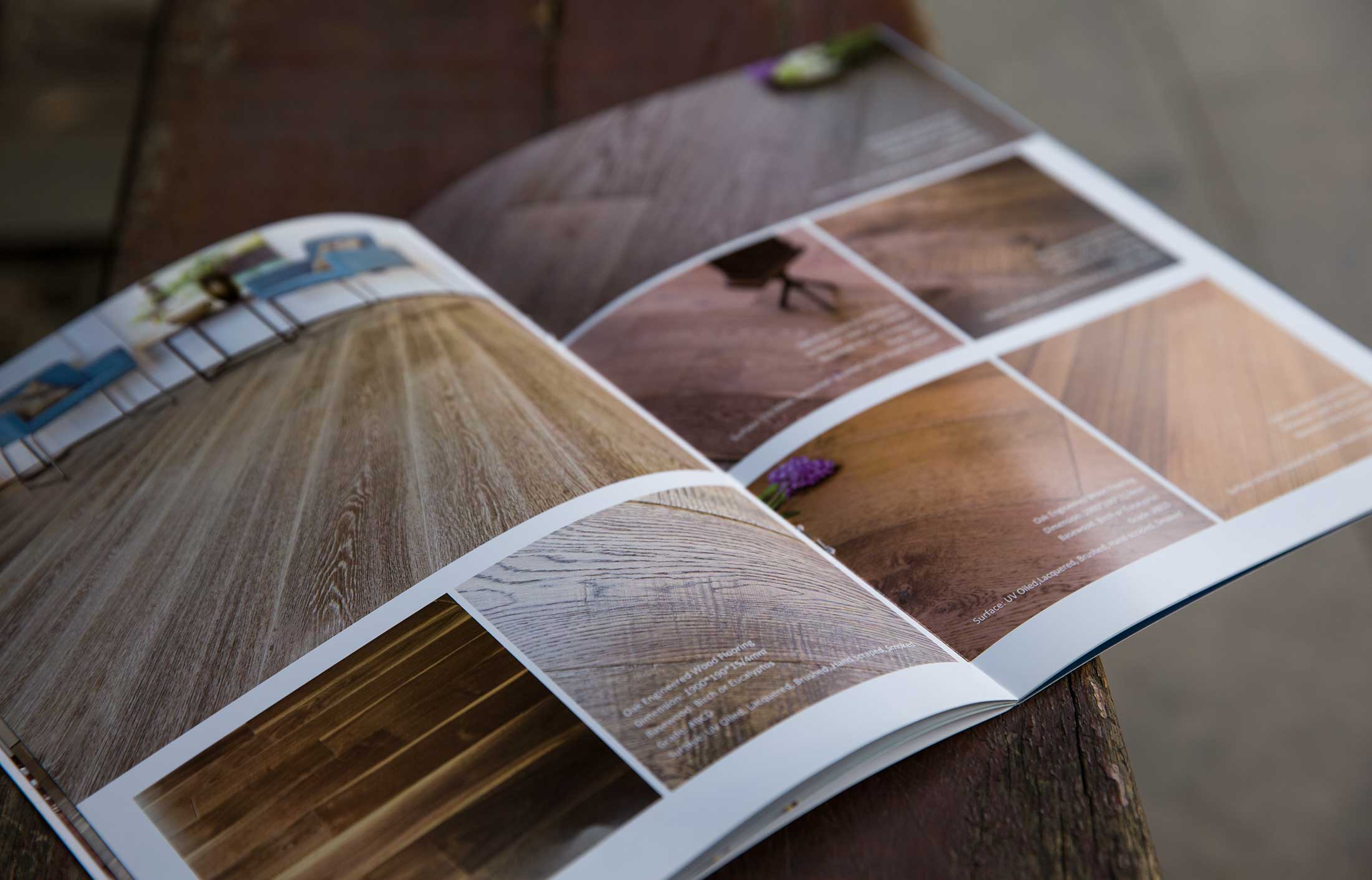 公司宣傳冊樣本設計編輯什么內容合適？