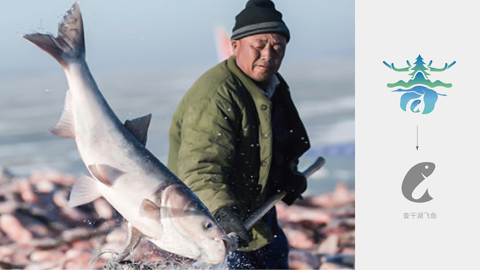 vi設計杭州有多少家設計公司？