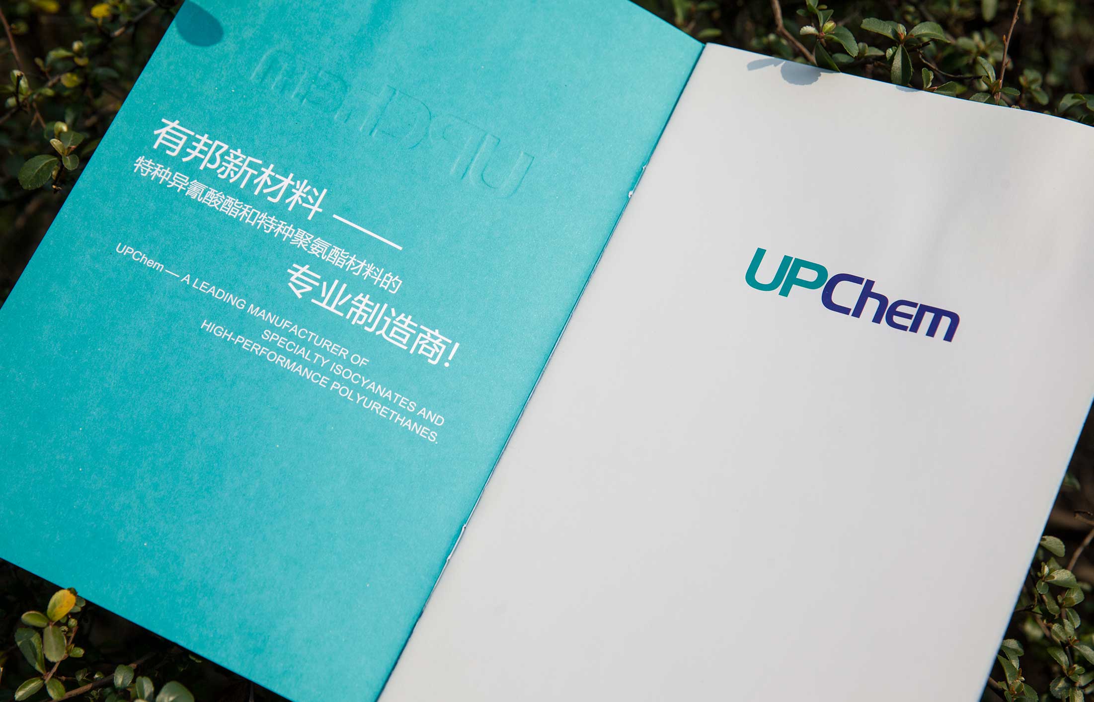 選營銷策劃公司的標(biāo)準(zhǔn)