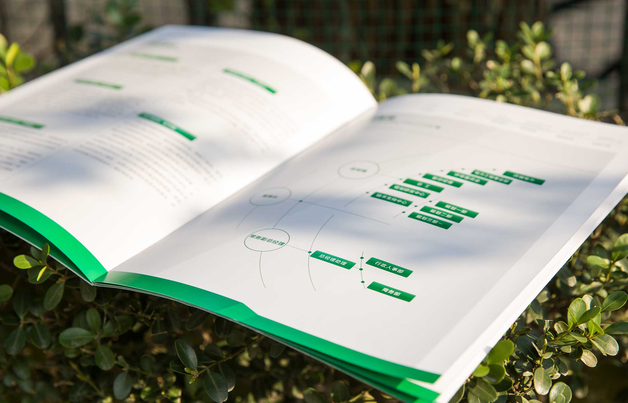 互動(dòng)營(yíng)銷策劃公司幫助企業(yè)