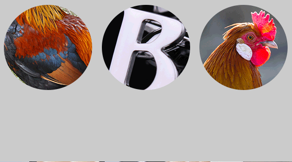 Bitreserve基金會品牌設(shè)計(jì)