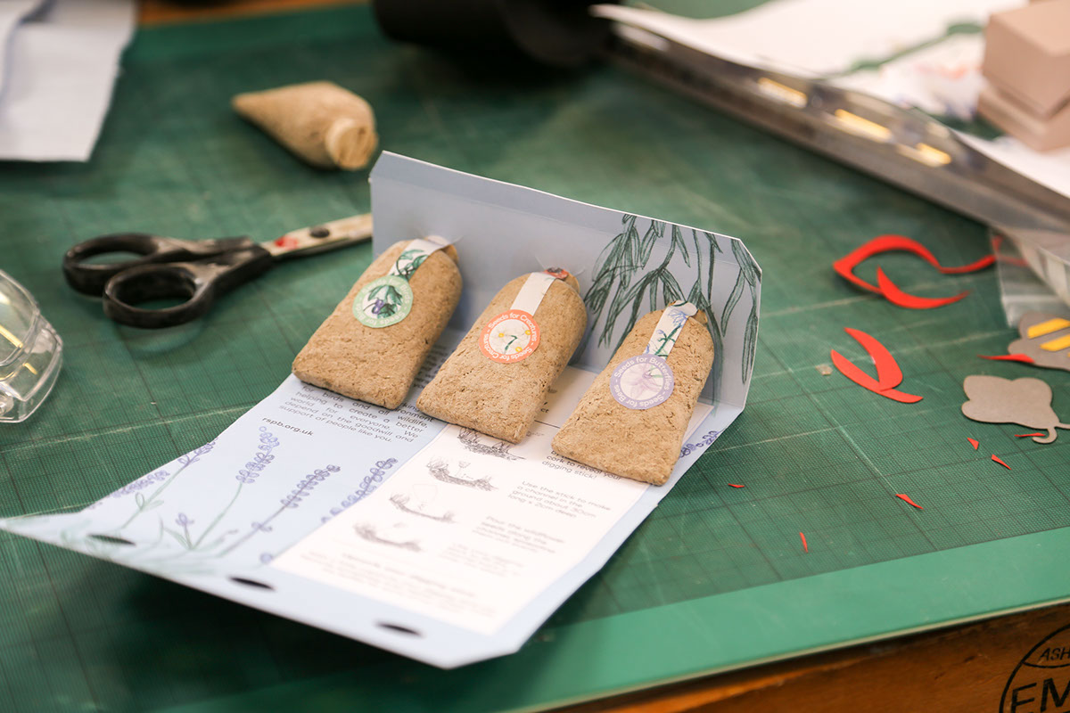 草甸種子創意包裝設計