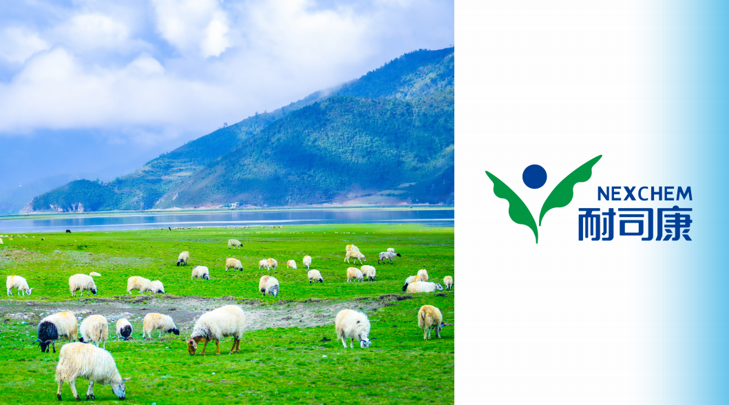 1676108335883476.png image.png