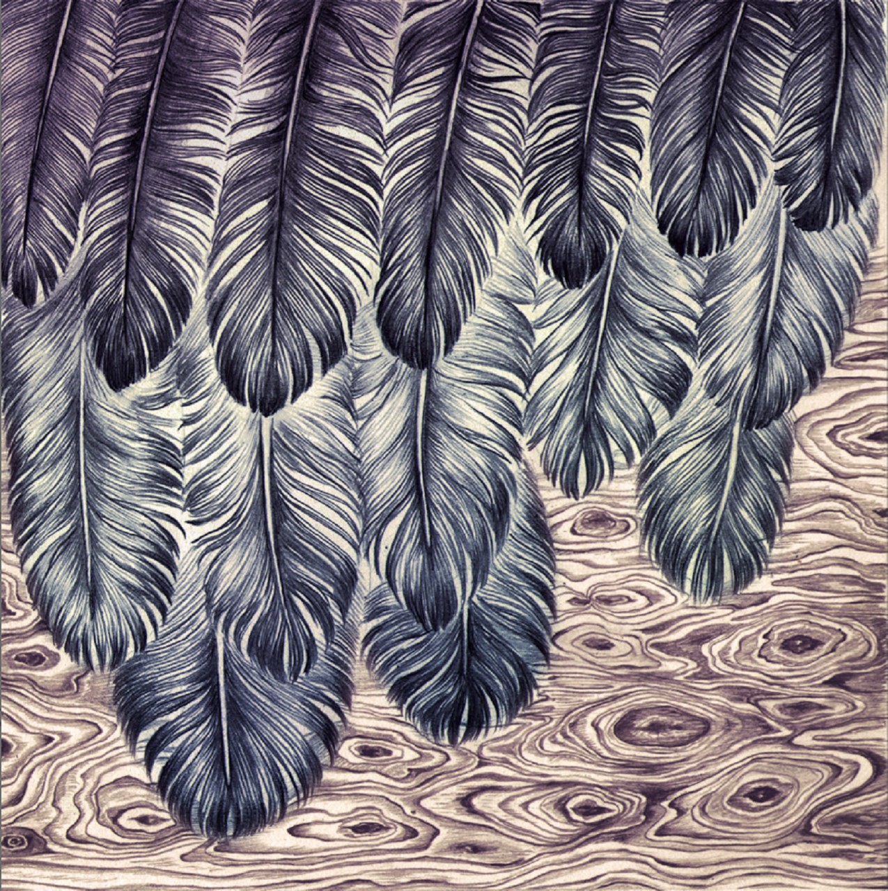 音樂(lè)專輯包裝插畫(huà)