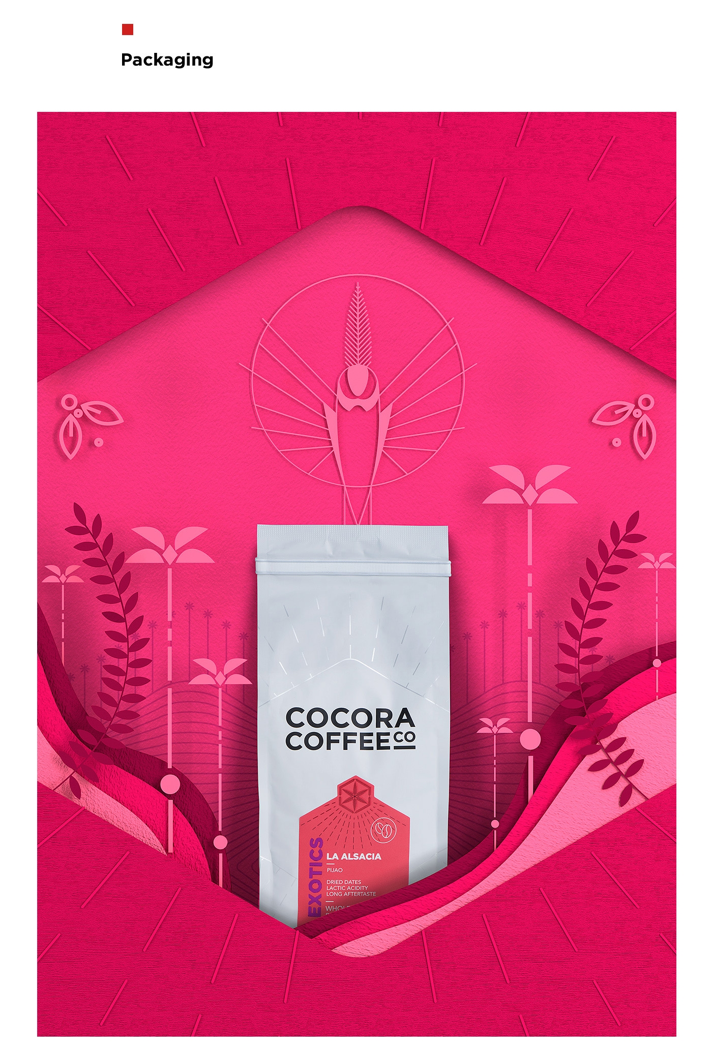 為一個咖啡杯，一個街角咖啡店，做整體的品牌包裝設計