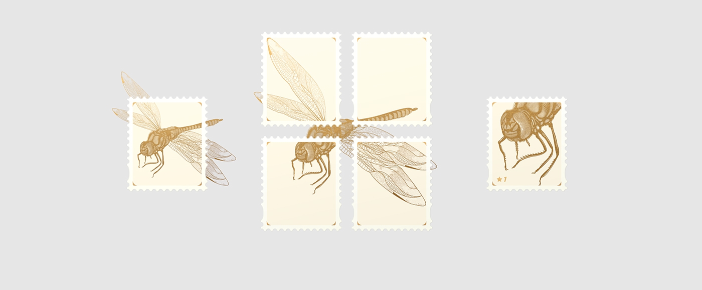 大自然的奇跡，蜻蜓主題的咖啡品牌包裝設計