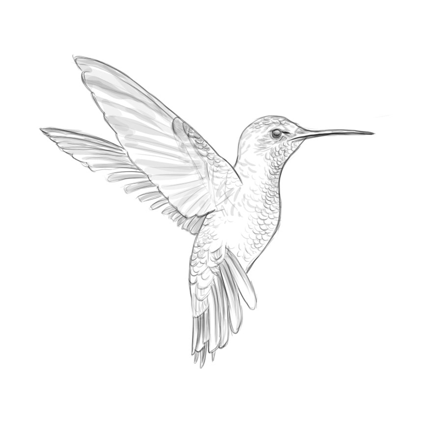 自然界野生動物來體現化妝品的純天然—護膚品包裝設計