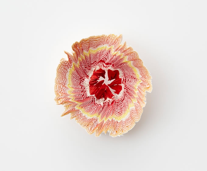 被削掉的鉛筆末盛開了花|創(chuàng)意小物設(shè)計